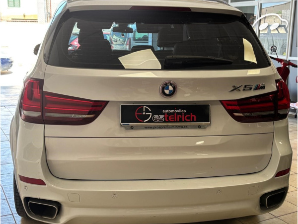 Bmw X5  10