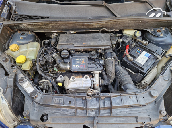 Ford Fusion Tdci 6