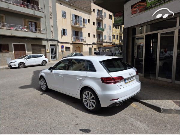 Audi A3 Sportvack 4