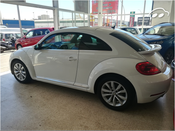 Volkswagen Beetle FENDER ED 4