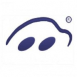 Logo IRENA 